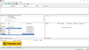 filezilla-43008558.webp