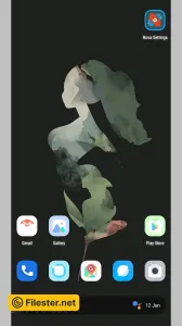nova-launcher-44440518.webp